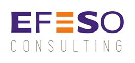 EFESO Consulting