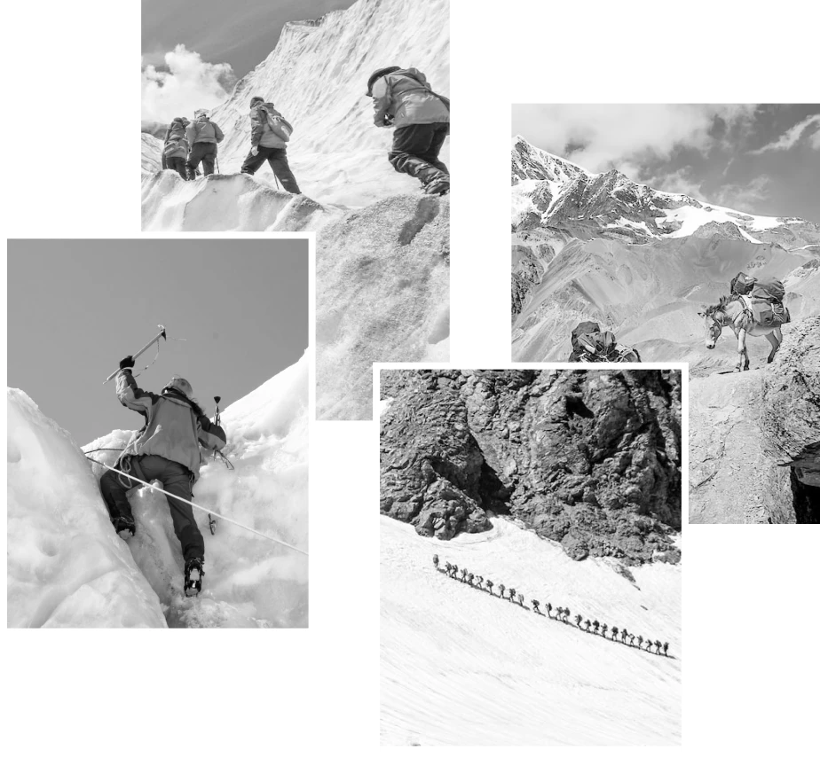 DNA team on the mountain